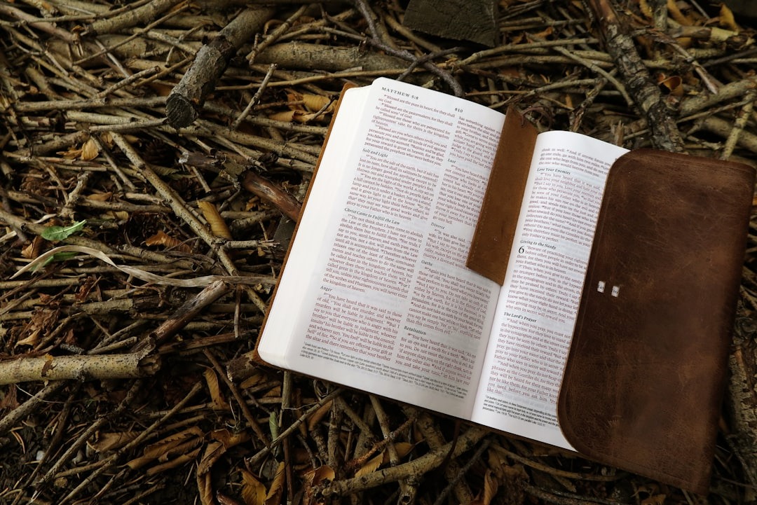 An open leather Bible resting on a bed of twigs.